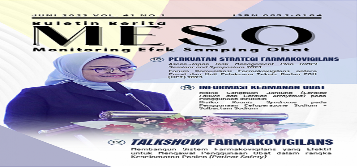 Buletin Berita MESO