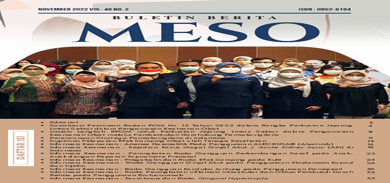 Buletin Berita MESO